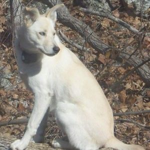 Meet your Posher, Cortnie